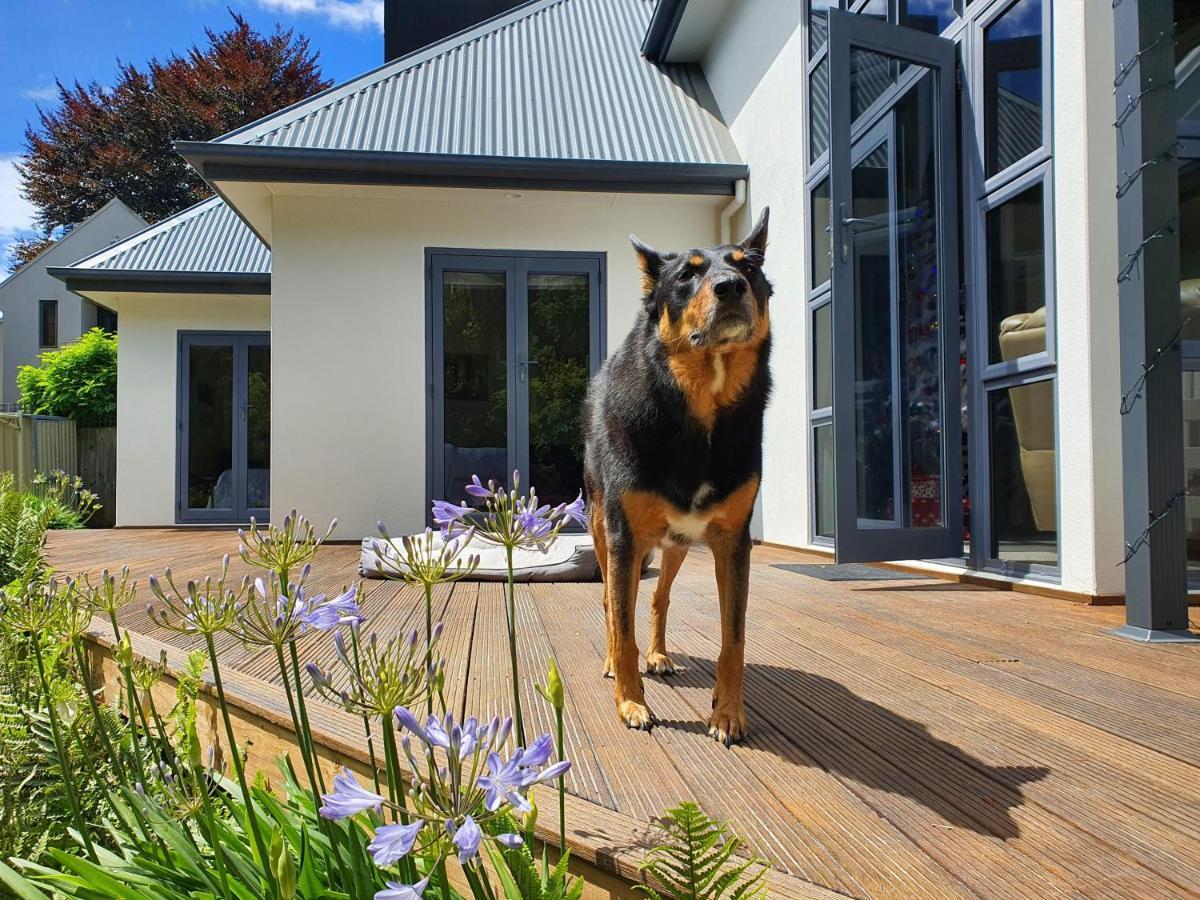 Christchurch Airport House Dış mekan fotoğraf